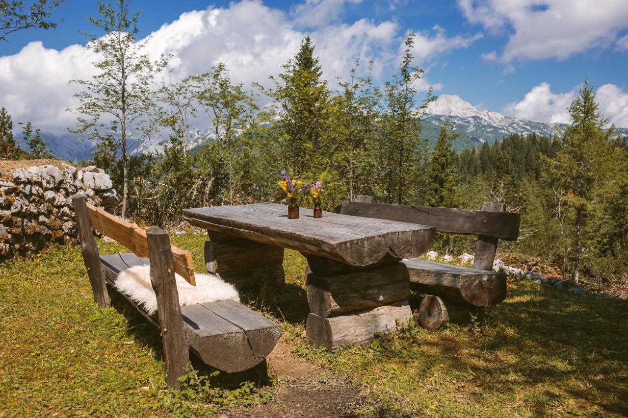 Chalet Orlica Velika Planina Stahovica Exterior foto